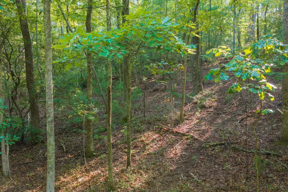 0 Wildwood Trail Talking Rock, GA 30175