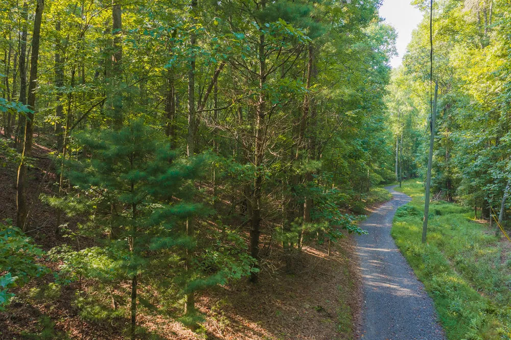 0 Wildwood Trail Talking Rock, GA 30175