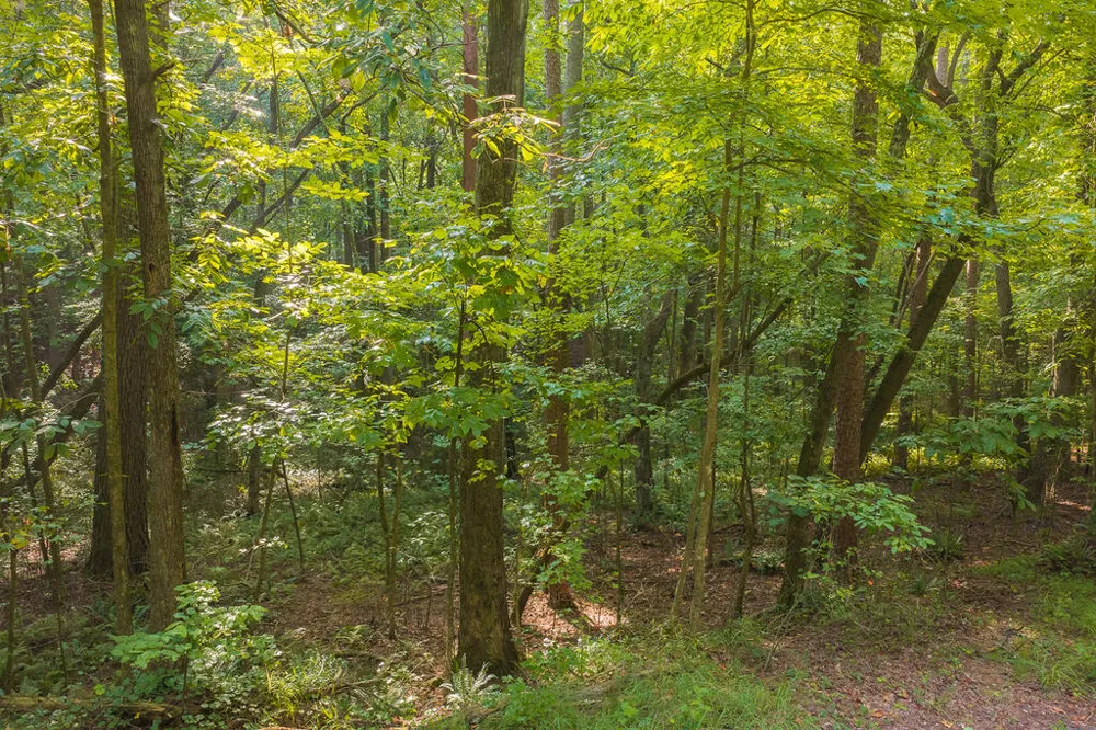 0 Wildwood Trail Talking Rock, GA 30175