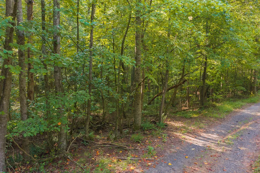 0 Wildwood Trail Talking Rock, GA 30175