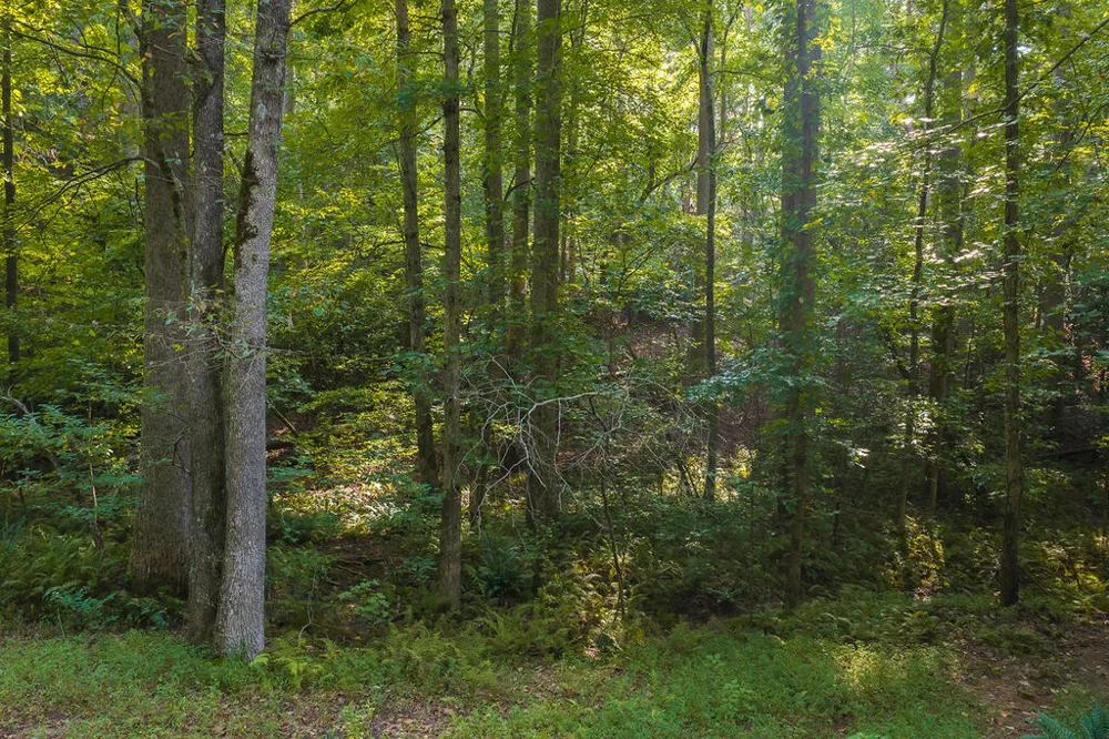 0 Wildwood Trail Talking Rock, GA 30175