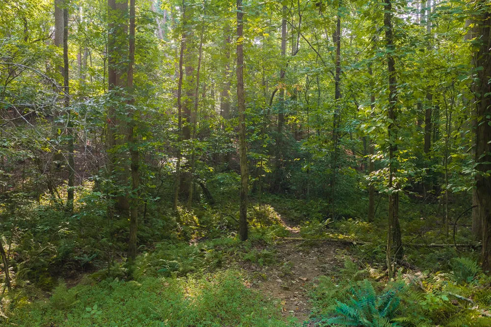 0 Wildwood Trail Talking Rock, GA 30175