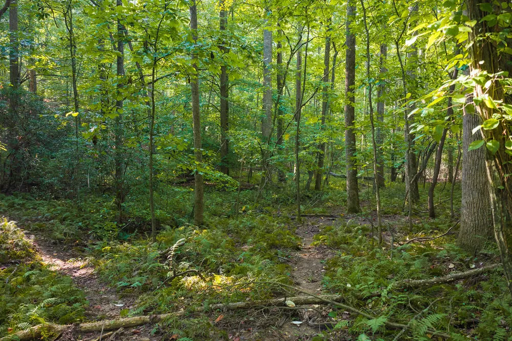 0 Wildwood Trail Talking Rock, GA 30175