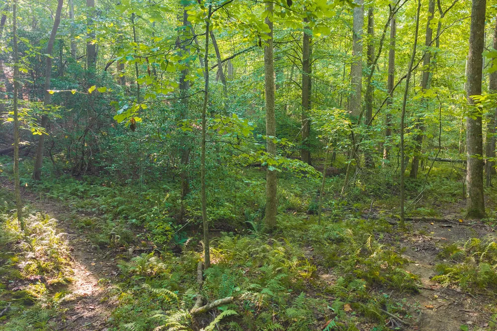 0 Wildwood Trail Talking Rock, GA 30175