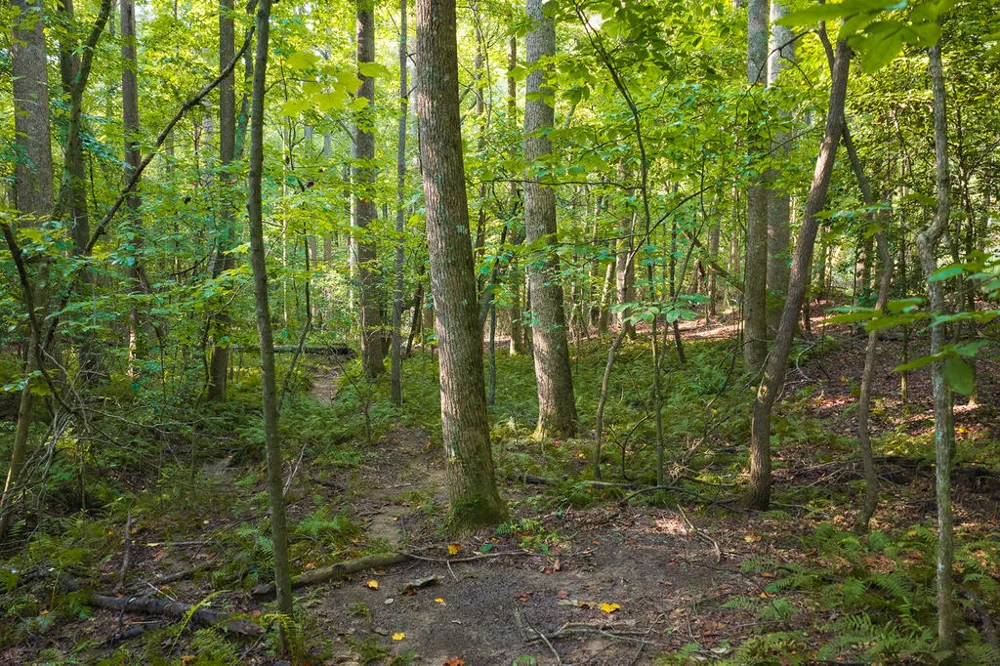 0 Wildwood Trail Talking Rock, GA 30175