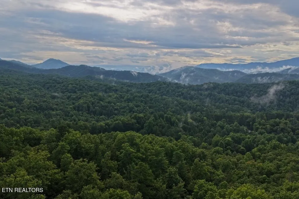 0 Shady Oaks Way Sevierville, TN 37876