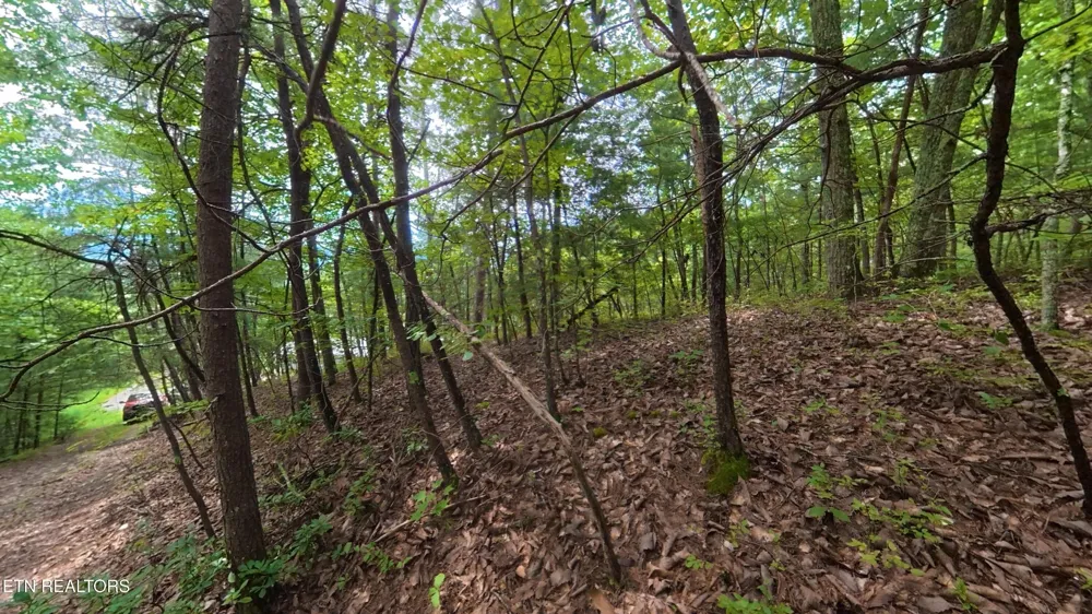 0 Shady Oaks Way Sevierville, TN 37876