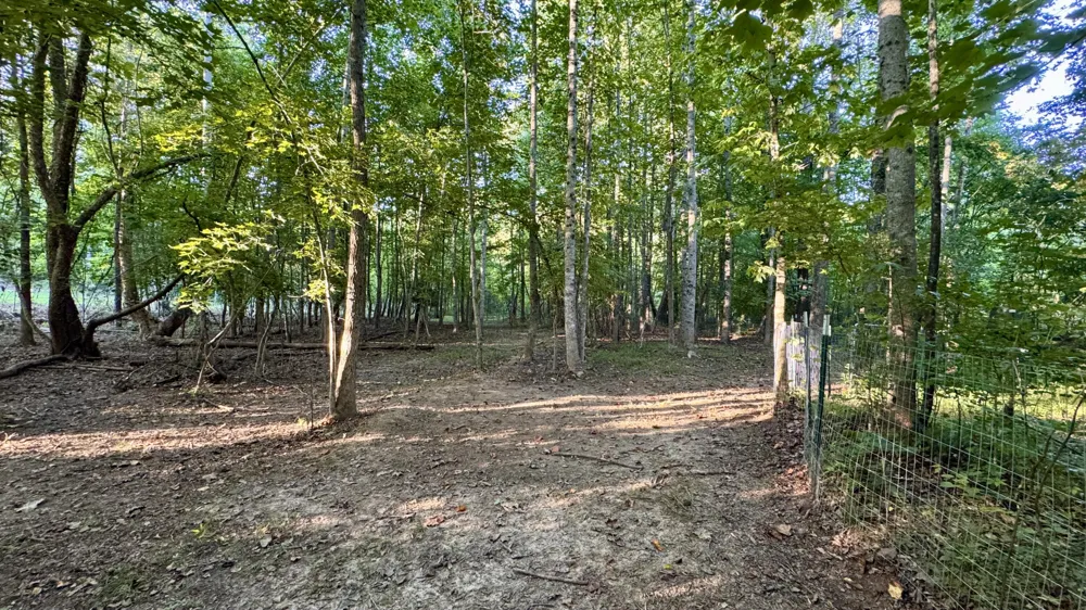 3701 Redman Road Decatur, TN 37322