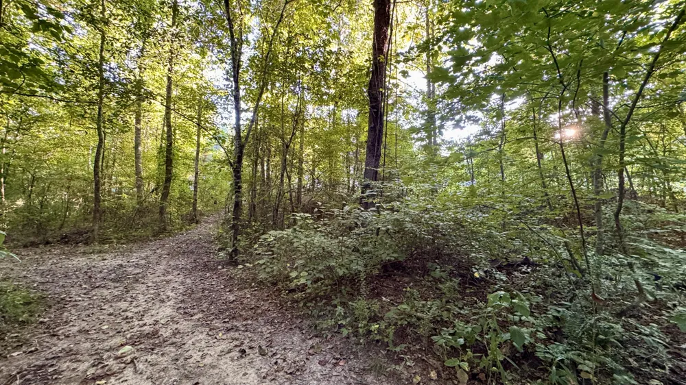 3701 Redman Road Decatur, TN 37322