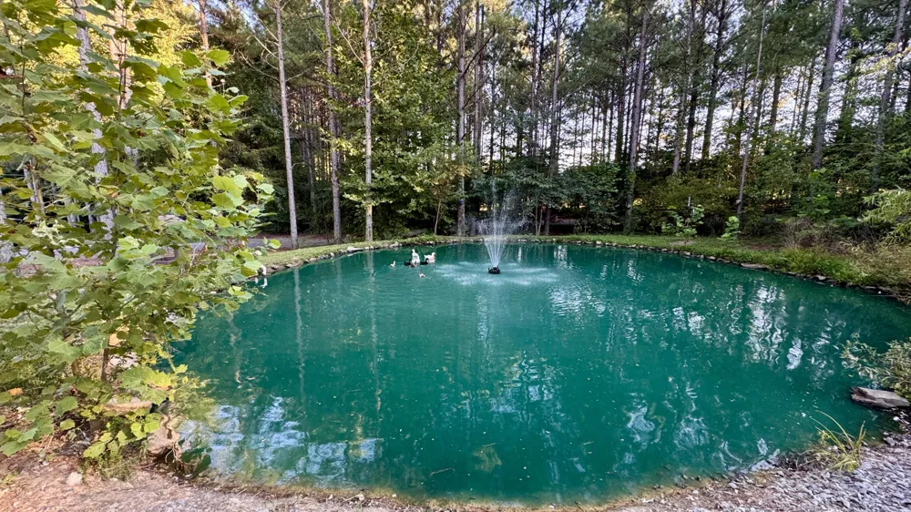 3701 Redman Road Decatur, TN 37322