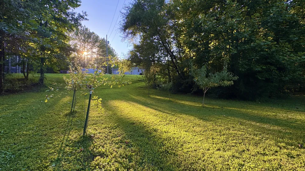 3701 Redman Road Decatur, TN 37322