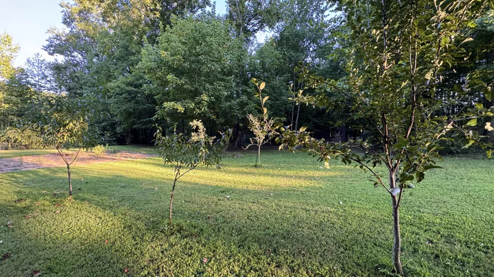 3701 Redman Road Decatur, TN 37322