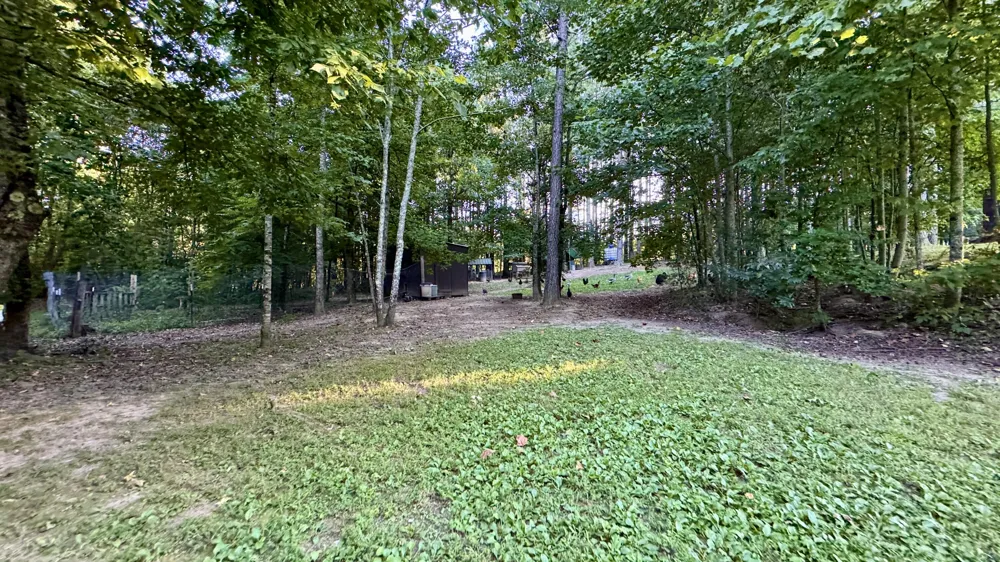 3701 Redman Road Decatur, TN 37322