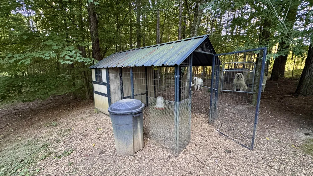 3701 Redman Road Decatur, TN 37322