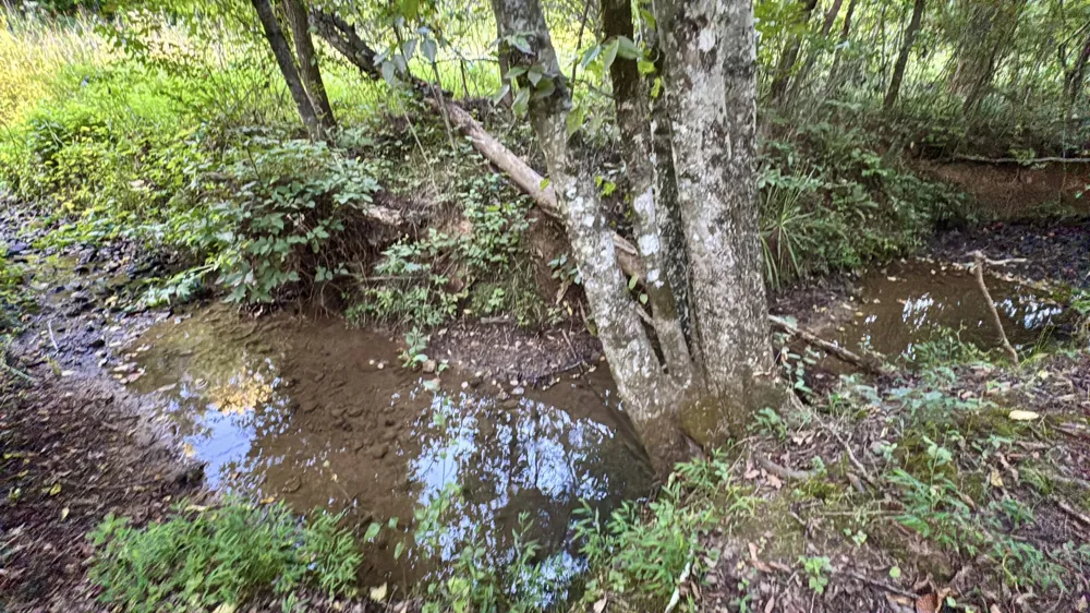 3701 Redman Road Decatur, TN 37322