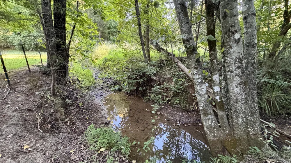 3701 Redman Road Decatur, TN 37322