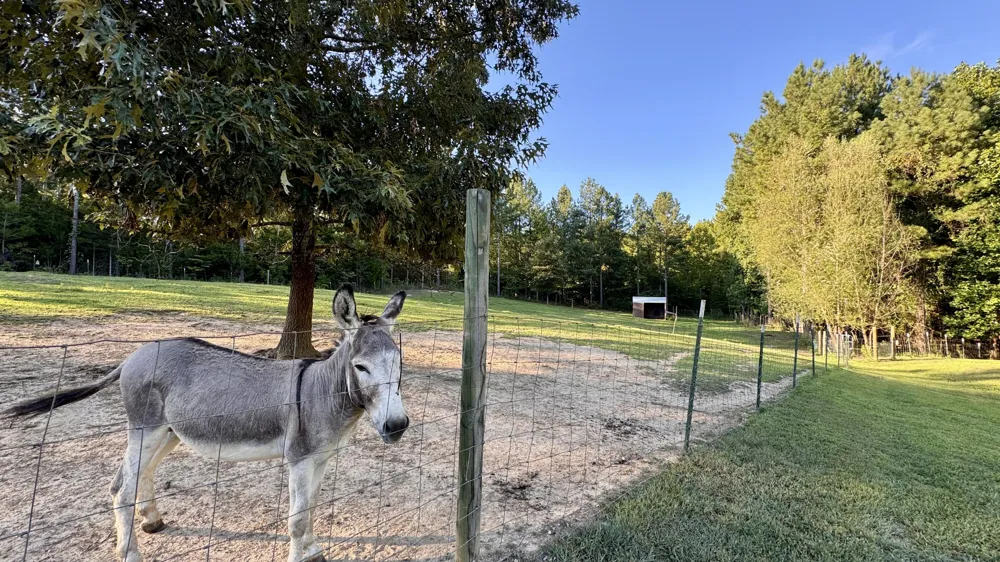 3701 Redman Road Decatur, TN 37322