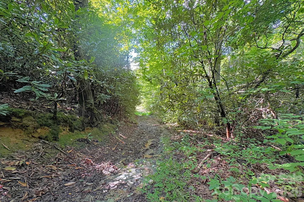999 Fowler Lane Fletcher, NC 28732