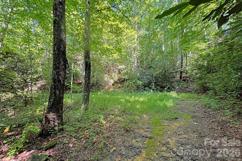 999 Fowler Lane Fletcher, NC 28732
