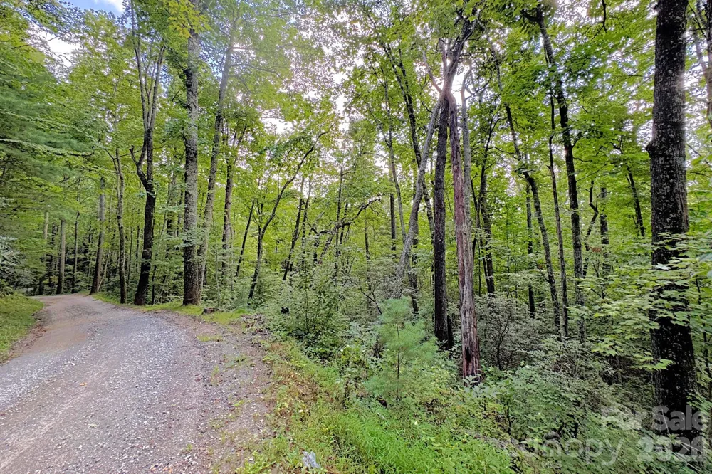 999 Fowler Lane Fletcher, NC 28732