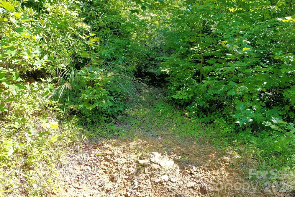 999 Fowler Lane Fletcher, NC 28732