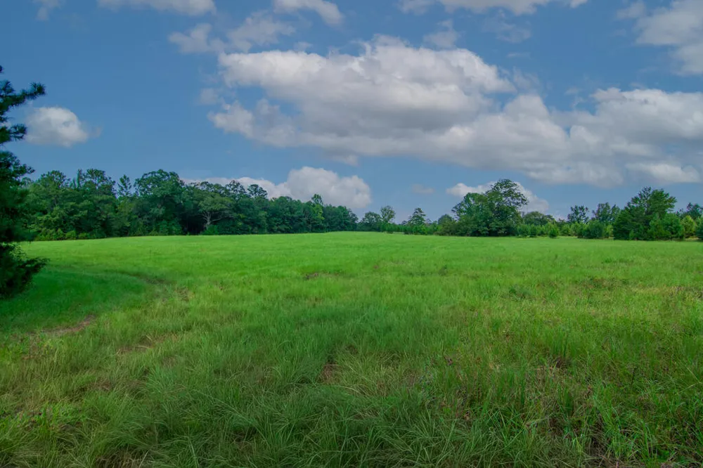 616 Twin Lakes Road Waverly Hall, GA 31831