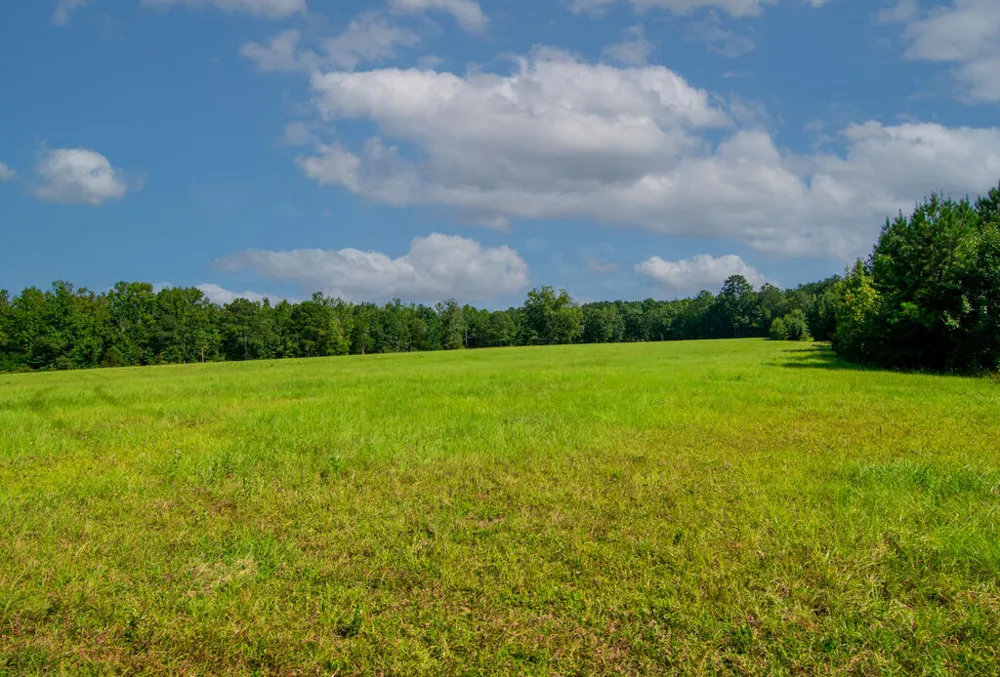 616 Twin Lakes Road Waverly Hall, GA 31831
