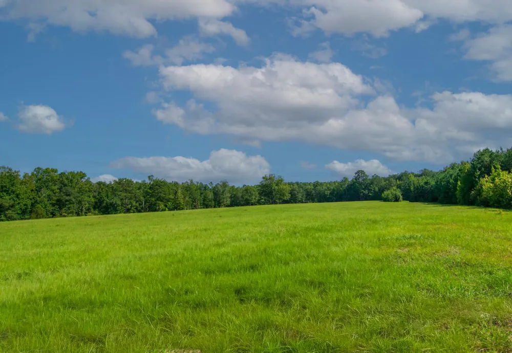 616 Twin Lakes Road Waverly Hall, GA 31831