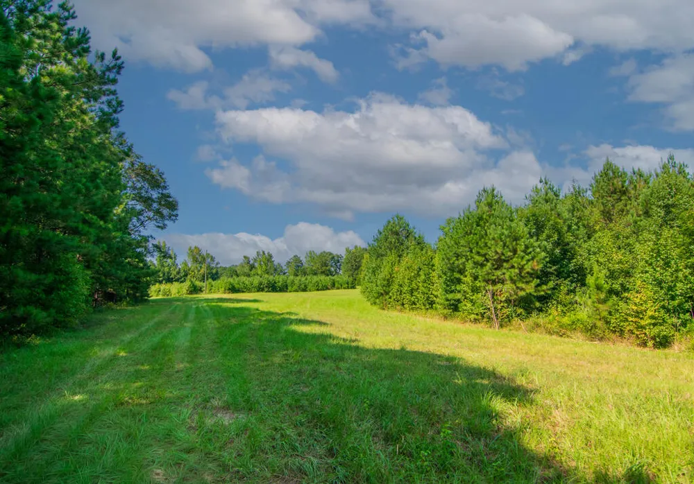 616 Twin Lakes Road Waverly Hall, GA 31831