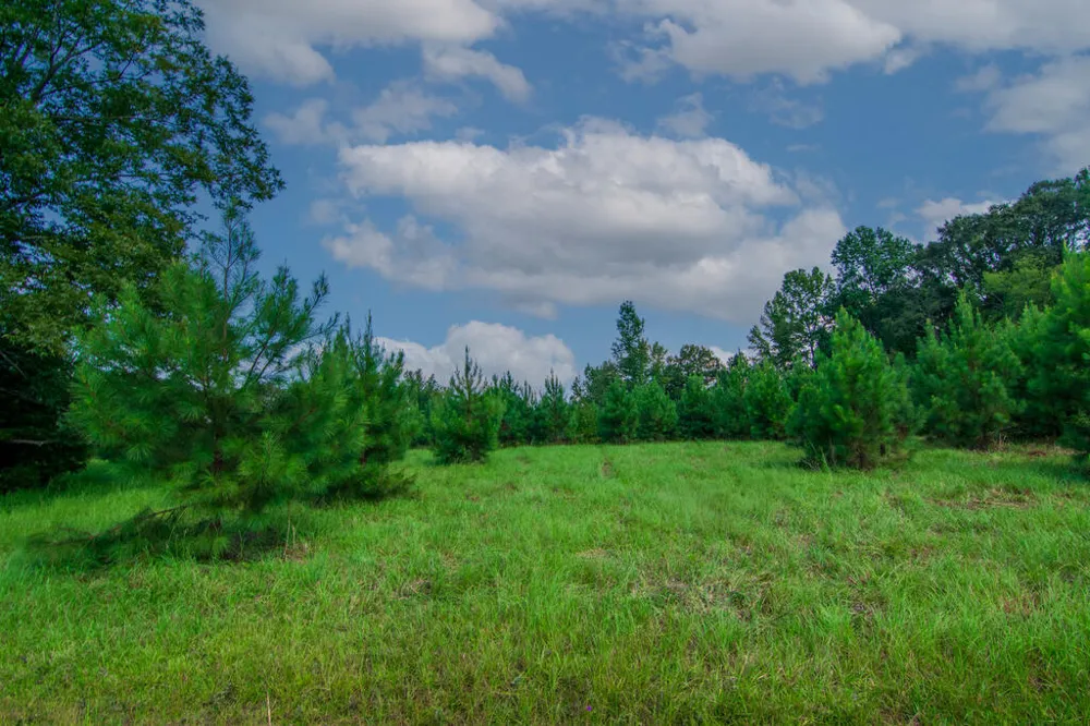 616 Twin Lakes Road Waverly Hall, GA 31831