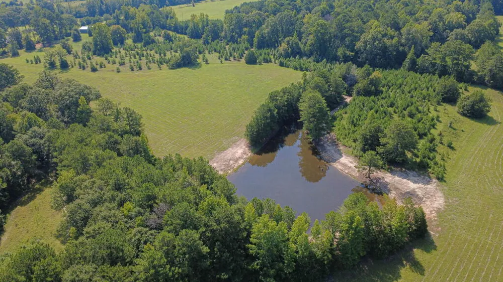 616 Twin Lakes Road Waverly Hall, GA 31831