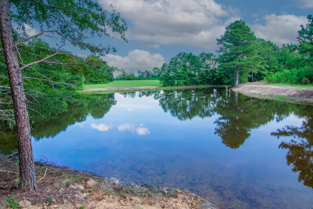 616 Twin Lakes Road Waverly Hall, GA 31831