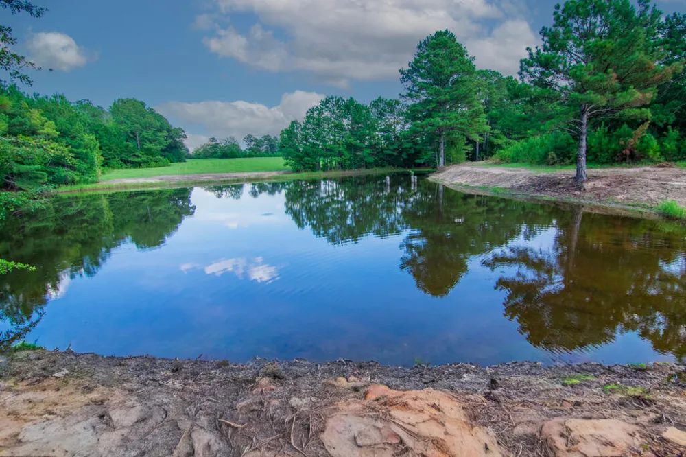 616 Twin Lakes Road Waverly Hall, GA 31831