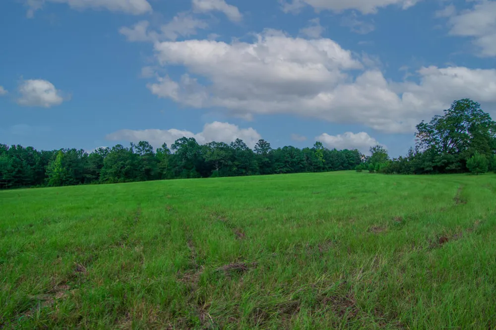 616 Twin Lakes Road Waverly Hall, GA 31831