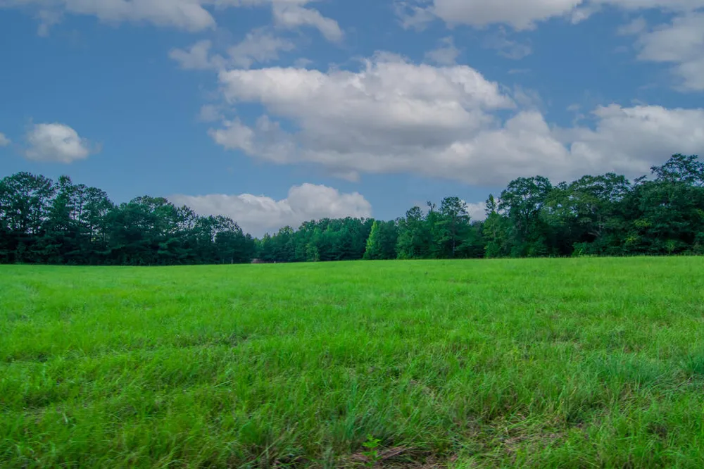 616 Twin Lakes Road Waverly Hall, GA 31831