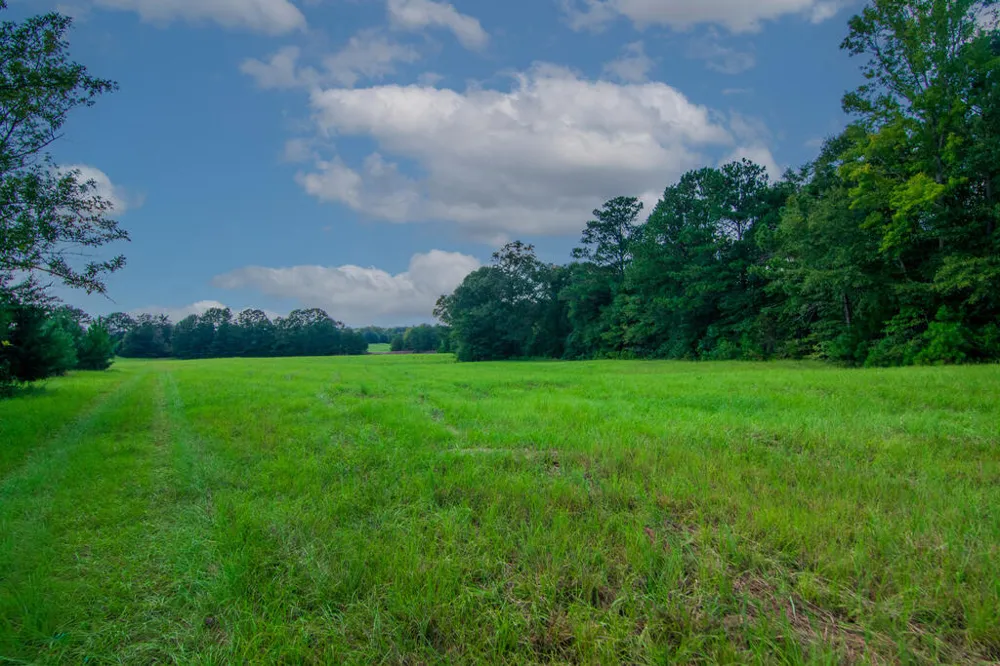 616 Twin Lakes Road Waverly Hall, GA 31831