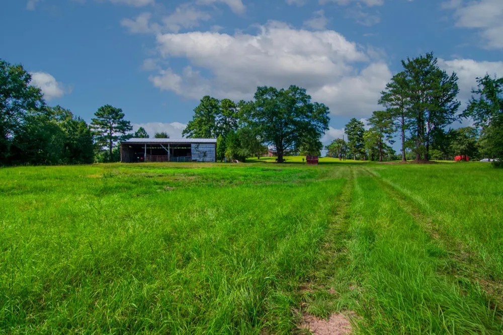 616 Twin Lakes Road Waverly Hall, GA 31831