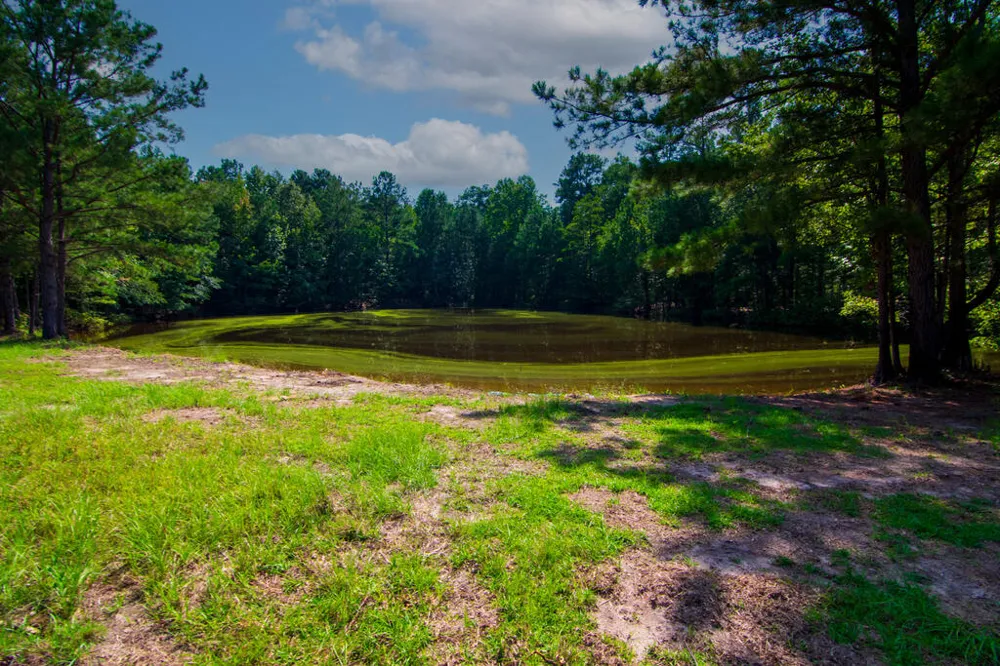 616 Twin Lakes Road Waverly Hall, GA 31831