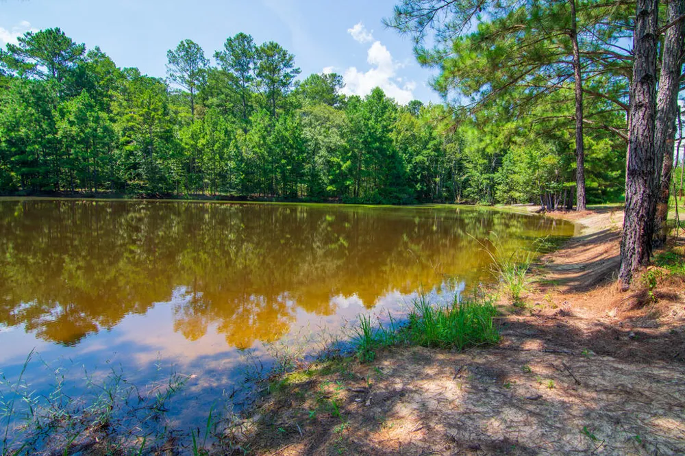 616 Twin Lakes Road Waverly Hall, GA 31831