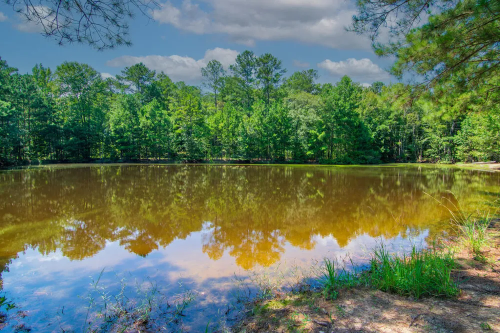 616 Twin Lakes Road Waverly Hall, GA 31831
