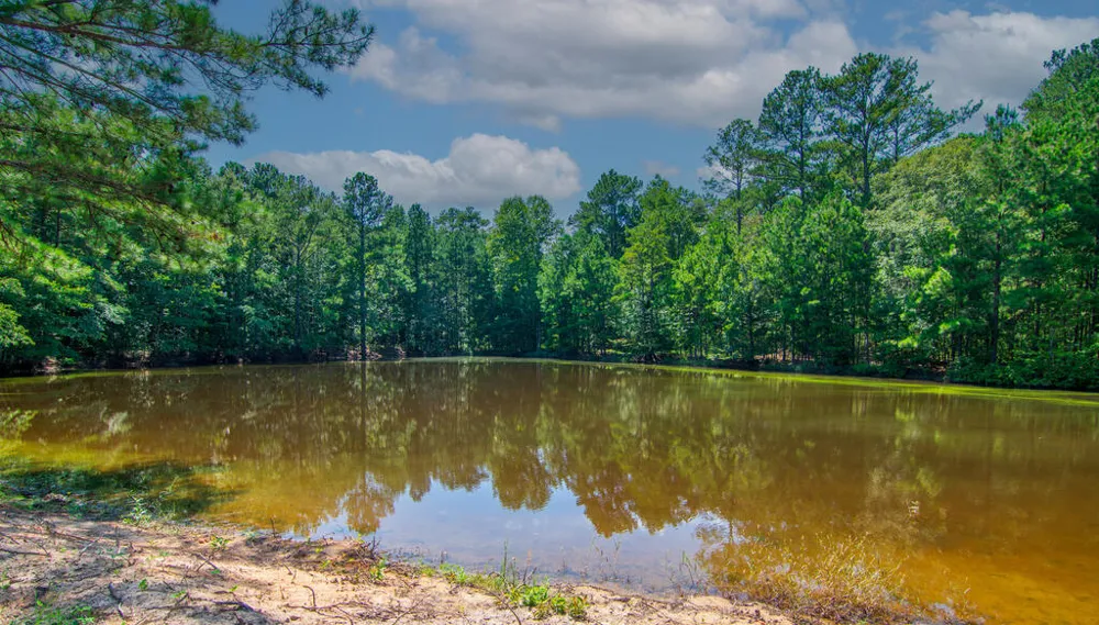 616 Twin Lakes Road Waverly Hall, GA 31831