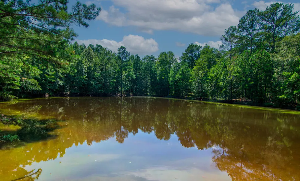 616 Twin Lakes Road Waverly Hall, GA 31831