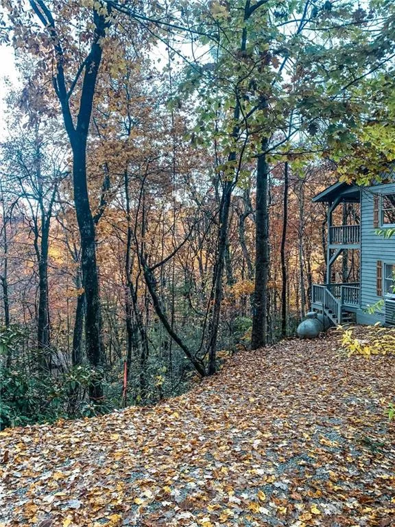 63 Mint Lane Clayton, GA 30525