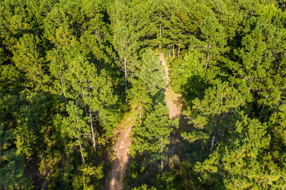 State Highway 294 Elkhart, TX 75839