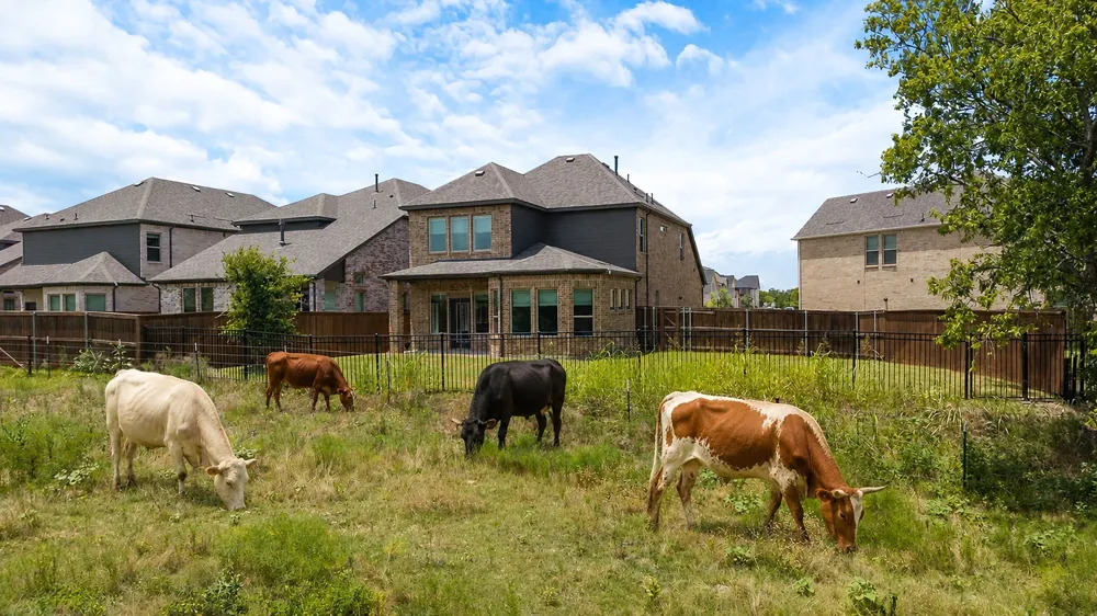 3100 Greenbriar Drive Celina, TX 75009
