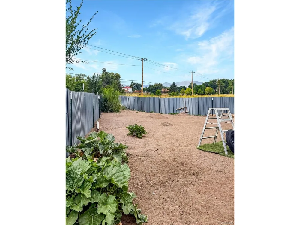 1320 Sickles Street Monte Vista, CO 81144