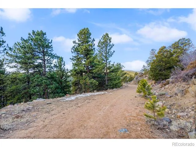 215 Murdock Drive Red Feather Lakes, CO 80545