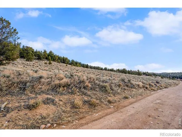 215 Murdock Drive Red Feather Lakes, CO 80545