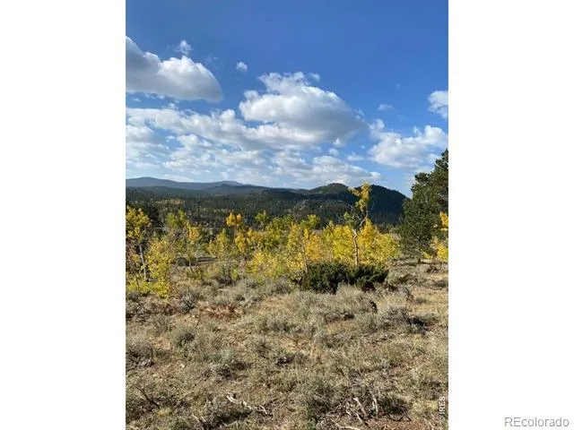 215 Murdock Drive Red Feather Lakes, CO 80545