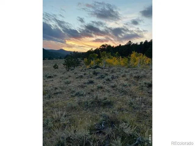 215 Murdock Drive Red Feather Lakes, CO 80545